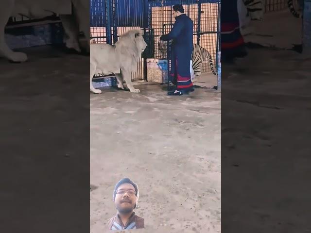 https://youtube.com/shorts/cRkUizEjrWk?si=lDVe_uun921Lugrs