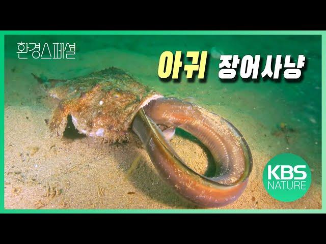 갑오징어 최면 걸어 게 사냥! 환경스페셜 '바다의 사냥꾼’ / KBS 20120502 방송
