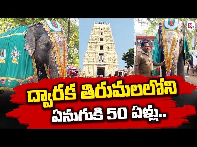 ఏనుగుకి 50 ఏళ్లు.. | Dwaraka Tirumala Temple | West Godavari | Suman TV