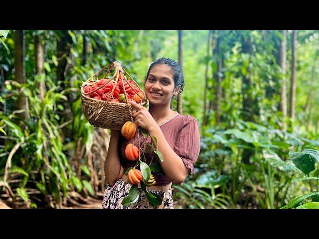 Sri lankan Gambooge recipes  harvesting preserving  & Cooking in rainy ️ mountains