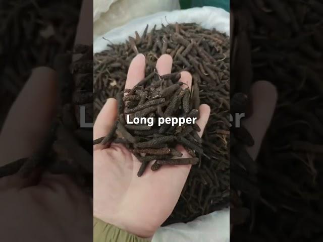 Long pepper ready for export from China biggest spices market.#longpepper #spices
