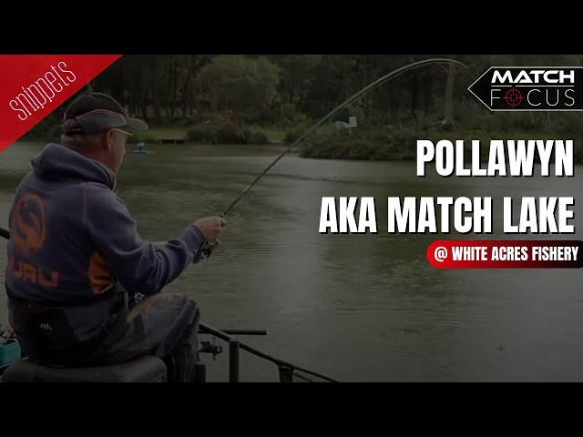 An In Depth Guide to Fishing Pollawyn Lake At White Acres | Paul Holland | Match Fishing | Parkdean