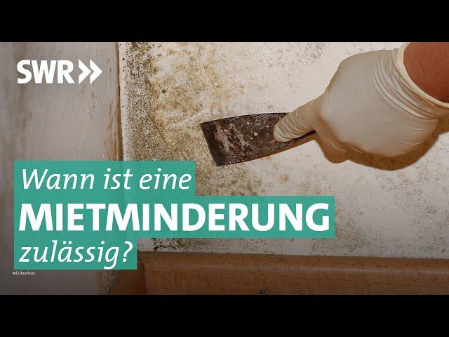 Mietminderung und Räumungsklage: Krach zwischen Mieter und Vermieter | Marktcheck SWR