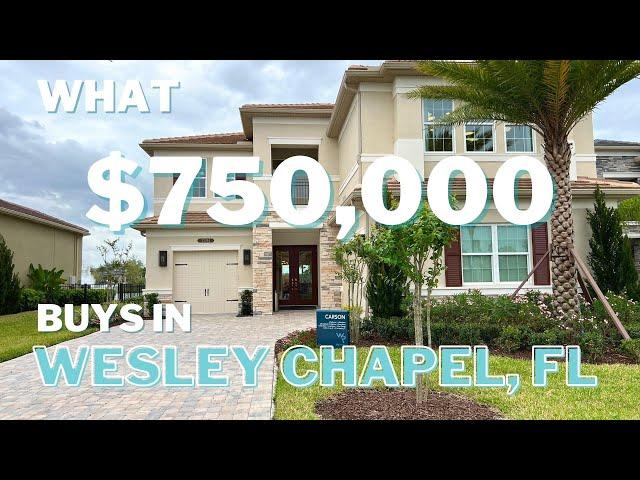 Wesley Chapel Homes for Sale | What you can buy for $750,000 | New Construction Model Home Tour