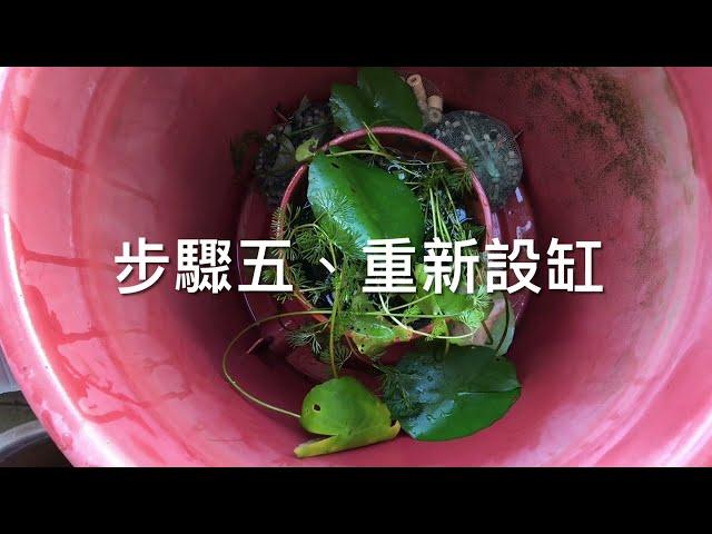 戶外蓮花缸翻缸步驟及注意事項