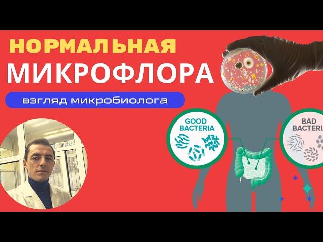 Нормальная микрофлора кишечника- бифидобактерии, лактобактерии. Посев на микрофлору ("дисбактериоз")