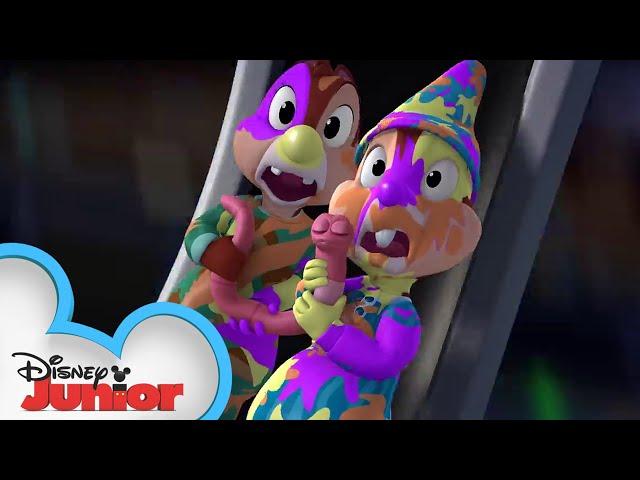 Tree's A Crowd | Chip 'N Dale's Nutty Tales | Disney Junior