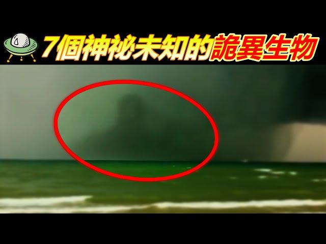美軍拍攝到與神祕生物的戰鬥! 7個神祕未知的詭異生物