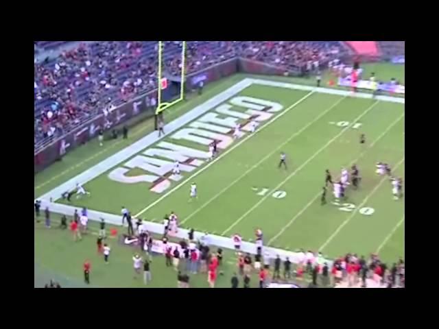 Brice Butler College Highlights