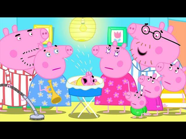 Baby Alexander Is Upset  Best of Peppa Pig  Season 5 Compilation 23