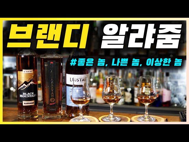 브랜디 개론 | 와인을 증류한 브랜디 유래와 스페인, 아르메니아의 브랜디 3종 시음