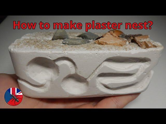 How to make compact formicarium | ALL IN ONE | Plaster Nest Tutorial