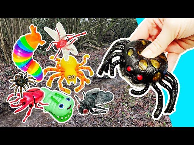 Lots of Bugs Names for Children to Learn | Insects for Kids: Caterpillar Millipede Beetle Snail Fly