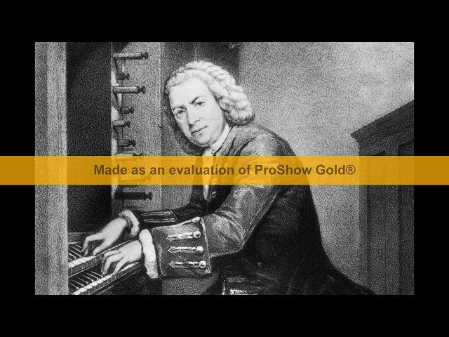 Anna Magdalena Bach no.36 played by Aryan Zartari
