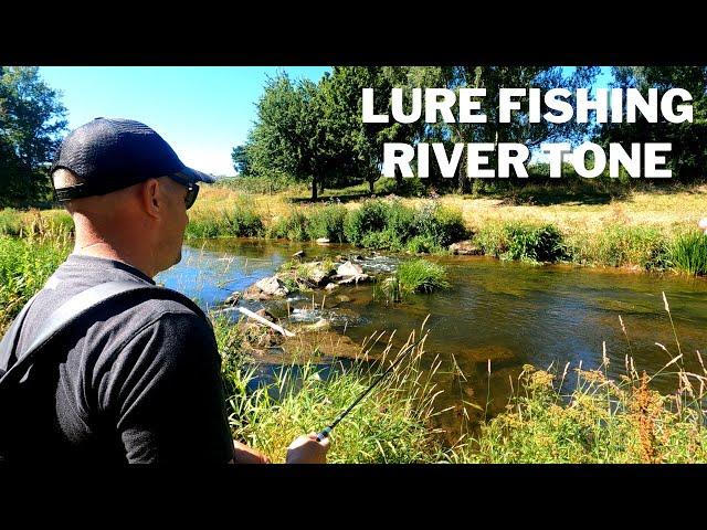 Ultralight Lure Fishing For Perch & Chub