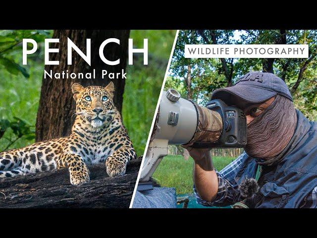 Wildlife Photography in Pench National Park | TIGER COUNTRY Ep. 1 -  Leopard Quest