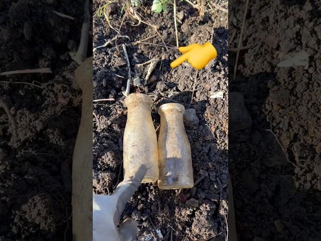 Buried 100 Years - Lost Dump Site  #shorts #history #antique #vintage