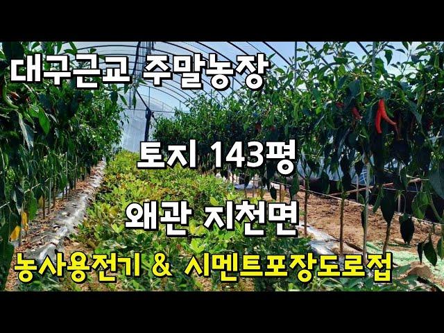 [주말농장매매] 칠곡지천면 토지매매 와룡대교에서6분거리 #대구토지매매 #대구주말농장