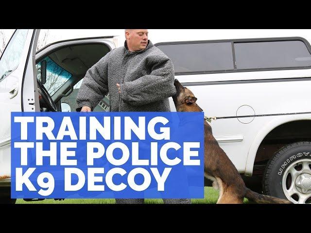 Training the Police K9 Decoy I Online Course