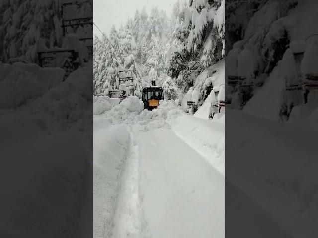 23 Jan 2022 Dalhousie Hill station Fresh snowfall contact me 9882709691