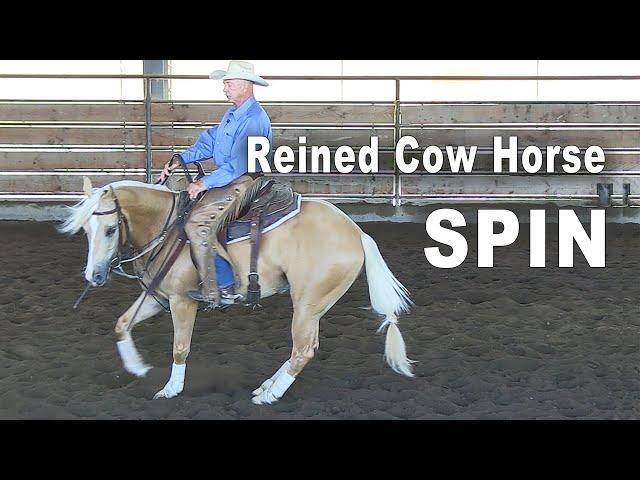 Training For A Reined Cow Horse Spin - Horse Training For A Reining Spin