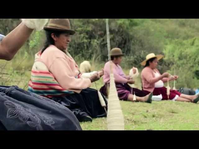 Traditions of the Andes - Spinzilla 2014