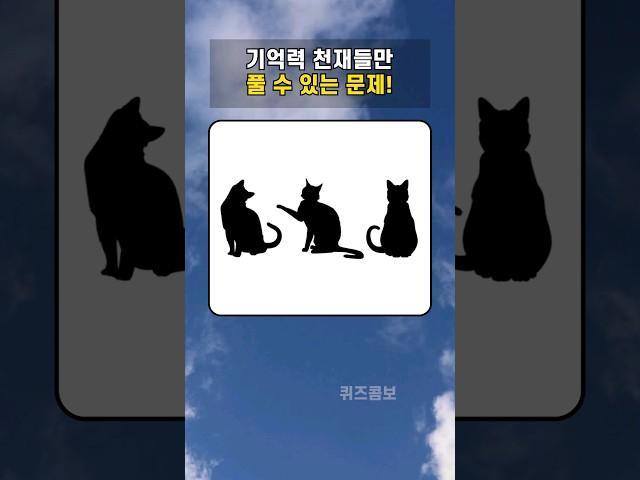 셀프 기억력 테스트 #치매예방 #뇌훈련 #집중력