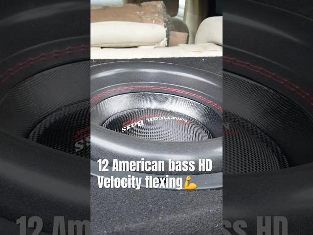 American Bass HD Velocity 12” flexing  #caraudio #subwoofer #americanbass #bassheads