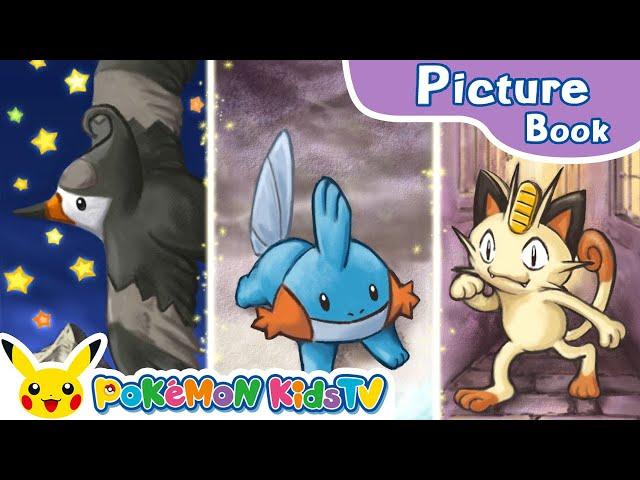 The Night of the Shooting Star | Pokémon Picture Book | Kids Story | Pokémon Kids TV