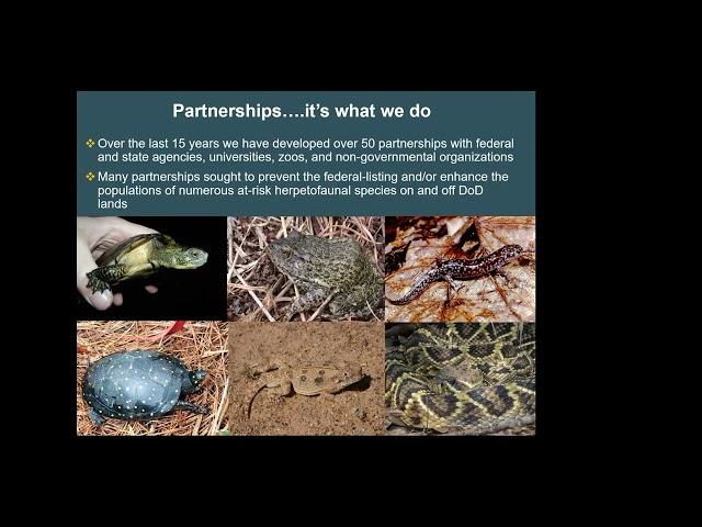 2024 VHS Fall Meeting - Department of Defense Partners in Amphibian and Reptile Conservation Network