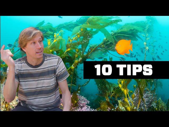 10 Underwater Photography Tips for EVERYONE