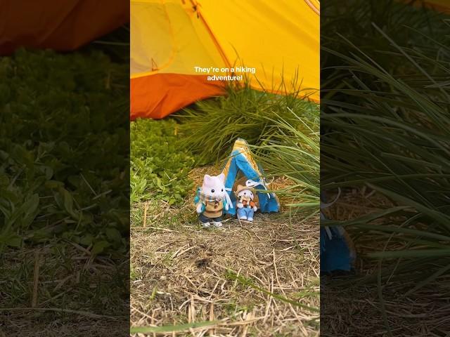 That’s what they were made for#sylvanianfamilies #calicocritters #adventure #hike #mountain