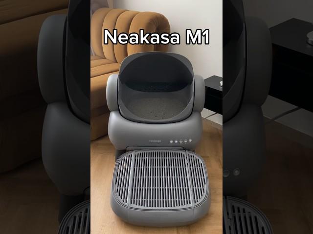 best litter box self cleaning Neakasa: #Smartcatlitterbox #Raisecat #cat #catlitter  #pet #neakasa