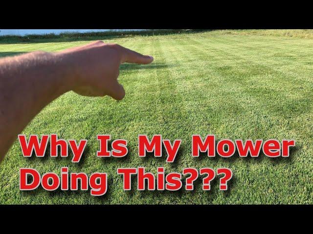 Uneven Grass After Mowing? [How to Spot and How to Fix!]