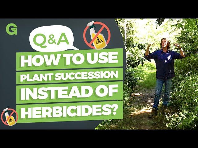 How to Use Plant Succession Instead of Herbicides?