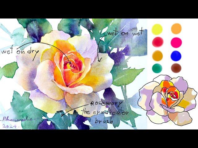 Rose 2024 Step by step watercolor Tutorials