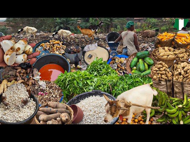 Egbeda EARLY MORNING Market Ibadan Nigeria  West Africa. Rural Village Market day. Cheap Foodstuff