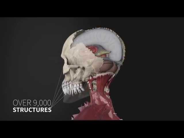 Introducing Complete Anatomy