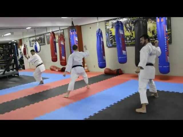 Kata Pinan Godan Shorin-Ryu Shinshukan CiB Workout