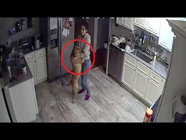 The guy installed hidden cameras at home and found out the shocking truth...