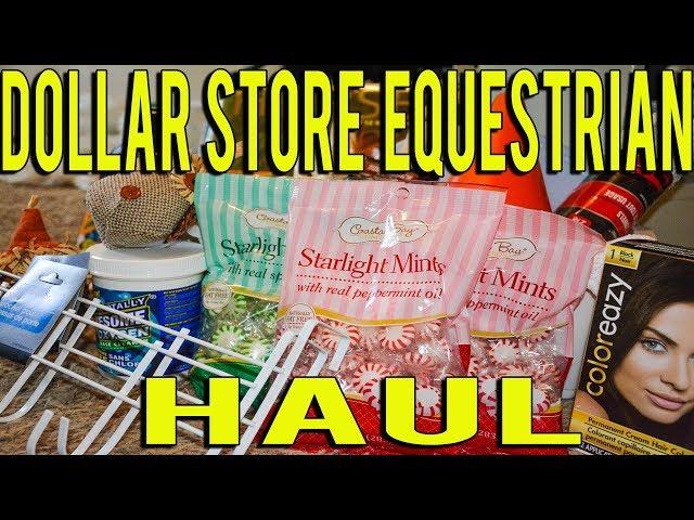 Dollar Store Equestrian Haul // Budget Equestrian