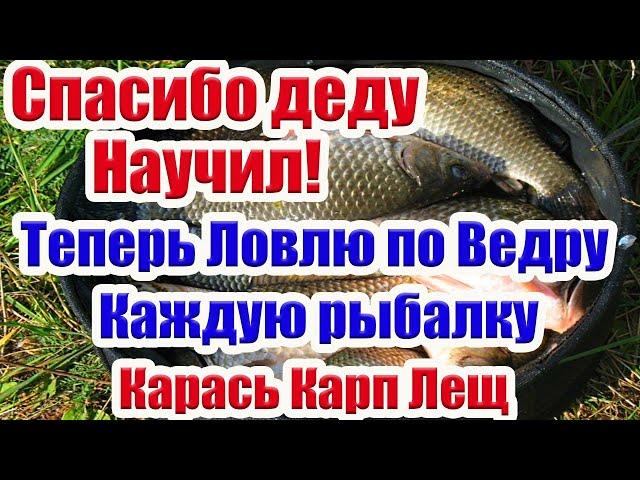 Дикий клёв  Прикормка своими руками Насадка на Карася Карпа Леща