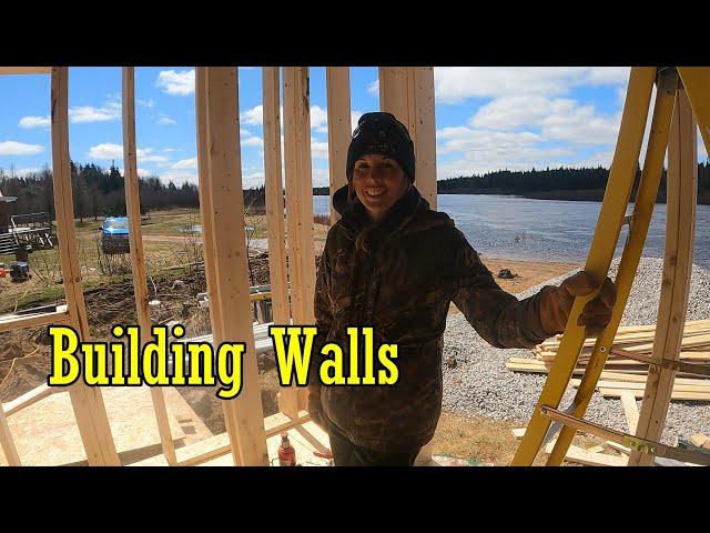 My Old Off Grid Cabin Now has WALLS (Ep 6)