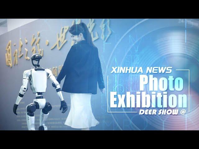 Deer Show | Visiting Xinhua News Photography Exhibition