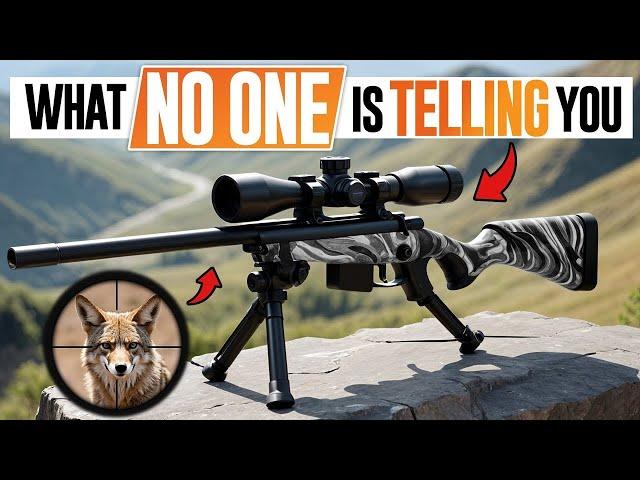 .22 LR Rifles.. What NO ONE is telling you!