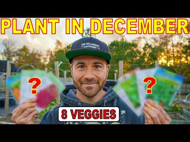 8 Veggies You Can STILL Plant In December For A Perfect Winter Garden