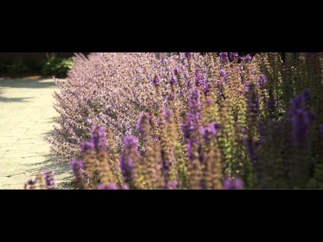 TBV | Misselwood Wedding Montage - Widescreen Format
