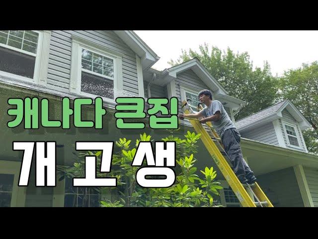 캐나다에서 큰집 사면 안되는 이유 (feat. 끊임없이 일하는 남편)