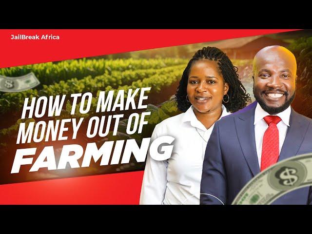 How To Make Money Out of Farming