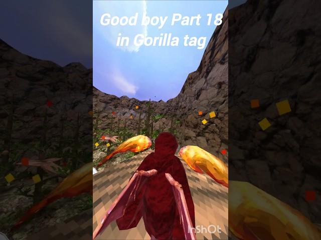 good boy Part 18 in Gorilla tag #gorillatag#gorillatagquest #goodboy #funny